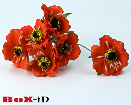 Flowers : Orange (60pcs)